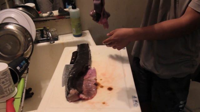 EATING A MONKEY FACE EEL смотреть онлайн