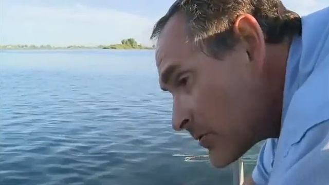 Как может меняться окраска у североамериканского маскинонга (Esox masquinongy) и как его ловят ? смотреть онлайн