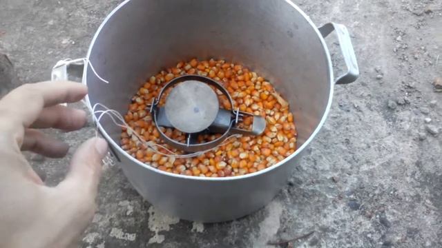 Самая лучшая отрава от крыс!!!. смотреть онлайн