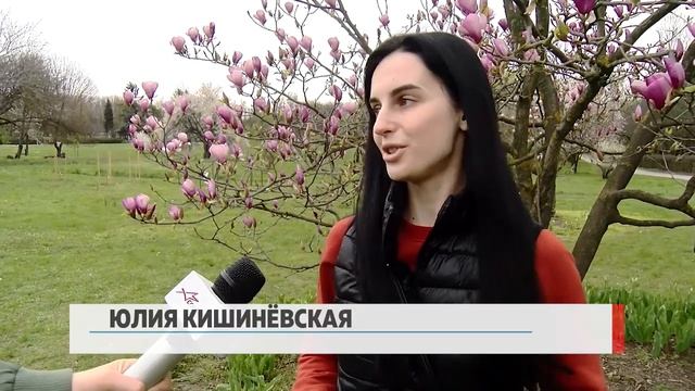 Среди цветущих магнолий смотреть онлайн