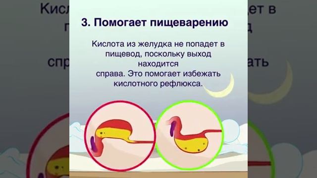 Как правильно ложится спать! смотреть онлайн