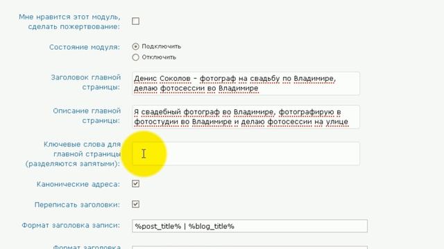 Что делать с семантическим ядром, часть 2 - плагин All-in-One-SEO, мета-тэги для главной страницы смотреть онлайн