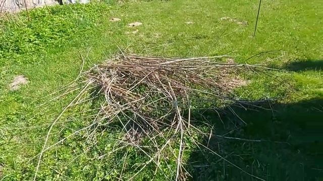 Чудо печка из бочки для сжигания садового мусора смотреть онлайн