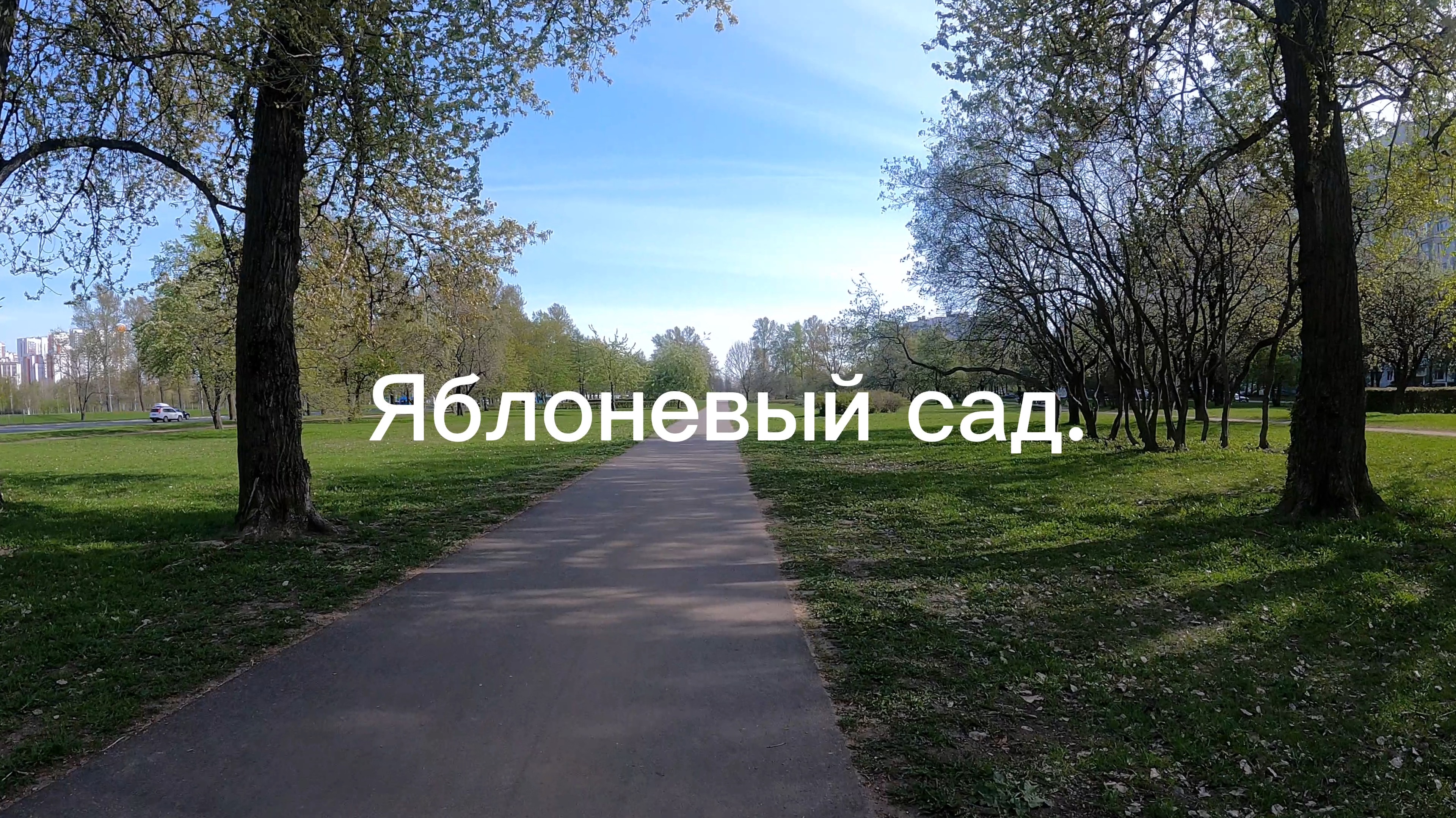 Яблоневый сад. смотреть онлайн