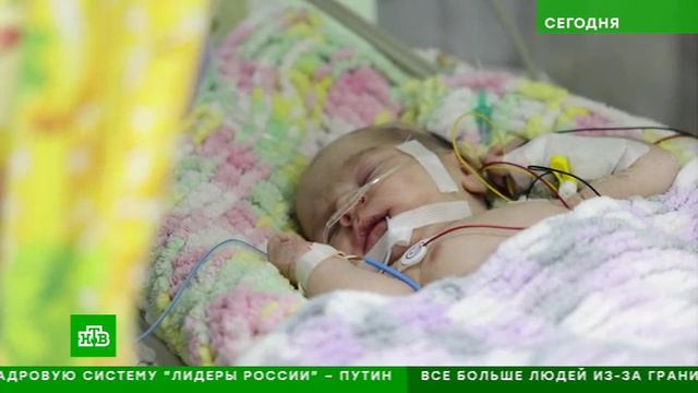 Победительница «Лидеров России» разрабатывает 3D-принтеры для печати деталей атомных реакторов и сам смотреть онлайн