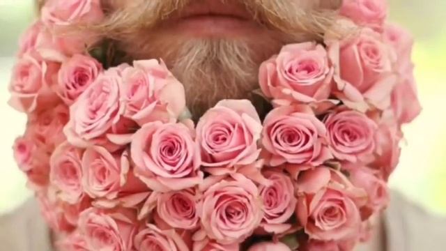 Песенка про Хипстера смотреть онлайн