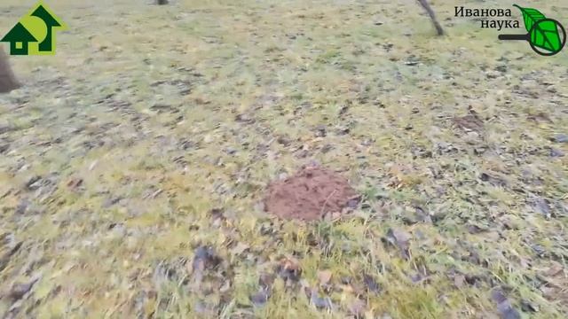 ЧЕГО НЕ(БОЯТСЯ) КРОТЫ? СМЫСЛ ШУМЕТЬ И ТРЕЩАТЬ? Как кротам "сделать дискомфорт" зимой. смотреть онлайн