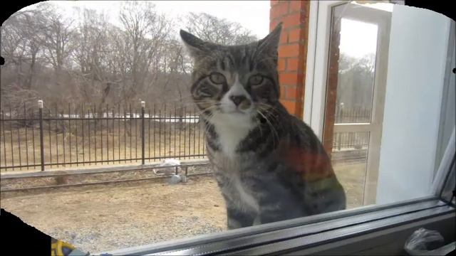 Буктрейлер на книгу «Я- не я» А. Слаповский смотреть онлайн