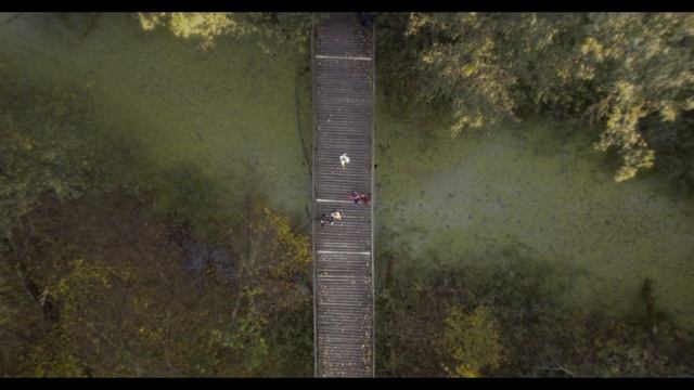 БОБРЫ НА САПАХ: Воронежский Заповедник | Креативный промо ролик смотреть онлайн