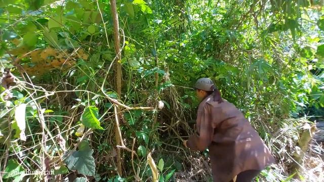 OFF GRID - The Girl Build All Bushcraft Natural Shelter In The Rainforest, Staircase, Bamboo House