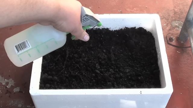 How To Grow MUSHROOMS