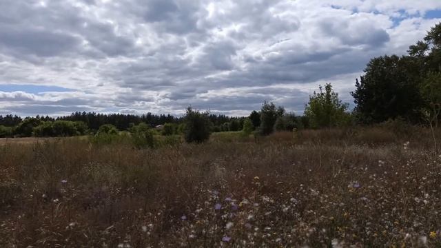 20 сентября народный праздник ДЕНЬ СОЗОНТА. ЛУКОВ ДЕНЬ. народные приметы и поверья смотреть онлайн