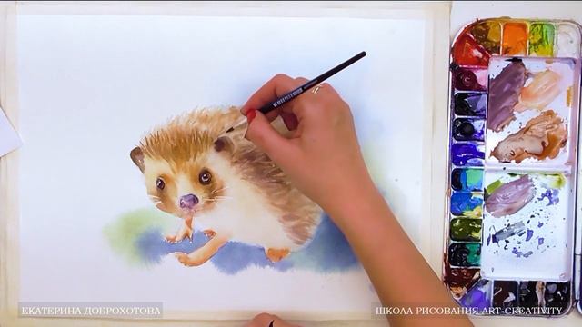 9 Ёжик Часть 5 смотреть онлайн