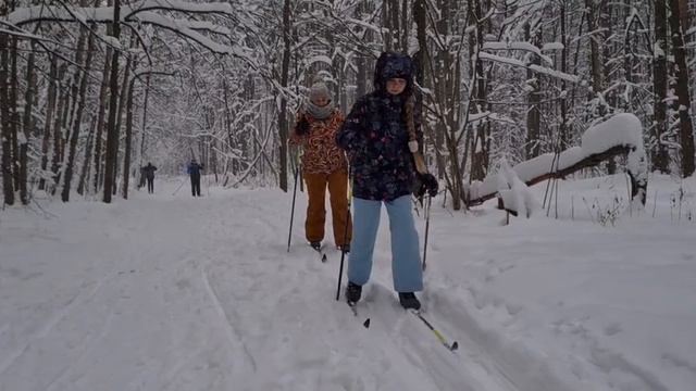 Битцевский лес смотреть онлайн