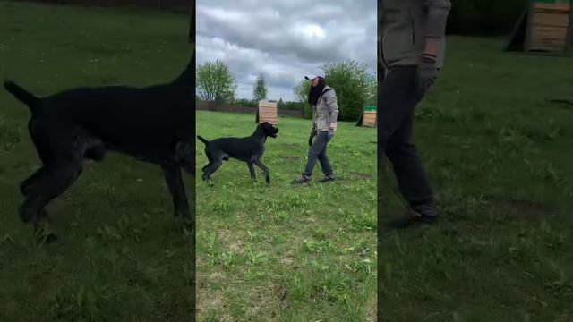 Юка и Шакир развлекаются после занятий смотреть онлайн