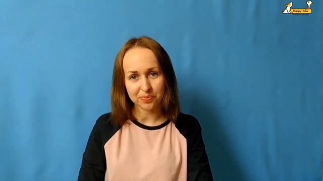 Онлайн урок для учеников 2-6 классов "Гуру по уходу за животными" смотреть онлайн