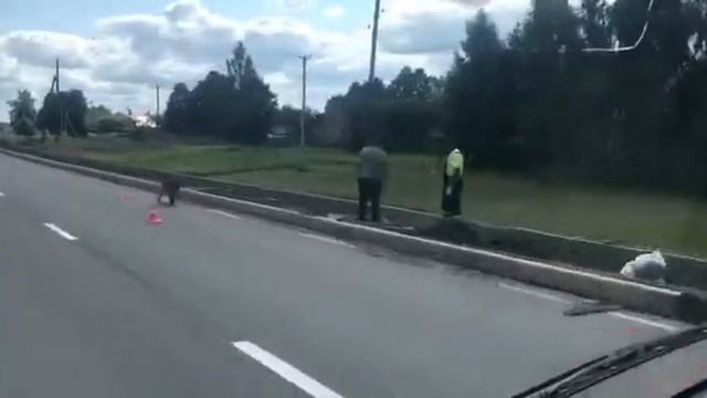 Жданов: активное дорожное строительство - не заслуга Вихарева смотреть онлайн