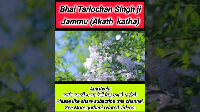 Amritvela di akath katha. Bhai Tarlochan Singh Jammu ji. смотреть онлайн