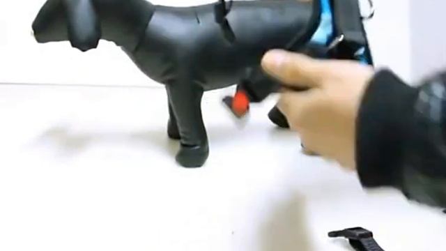 Шлейка для собак. смотреть онлайн