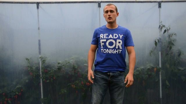 CHILLI TEST - HABANERO YELLOW