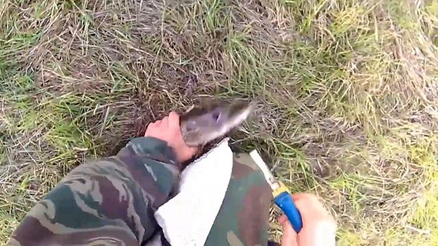 Просто Рыбалка I Just Fishing смотреть онлайн