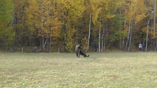 Кубок Москвы 2014 г. по ОКД и ЗКС. смотреть онлайн