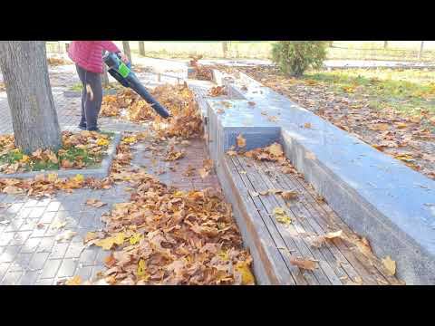 Илон Маск одобряет: как мы тестировали воздуходувку Greenworks GD60AB смотреть онлайн