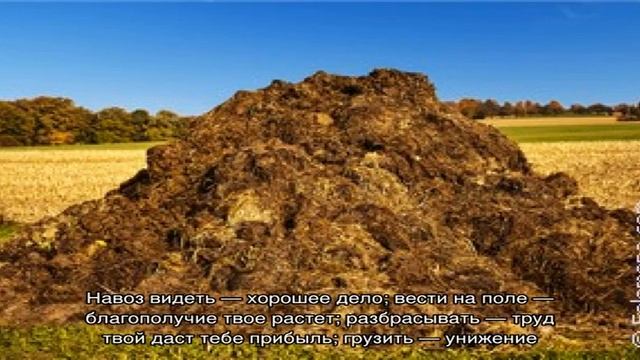 «Навоз к чему снится во сне? Если видишь во сне Навоз, что значит?» смотреть онлайн