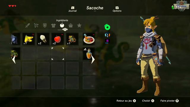 Zelda Breath Of The Wild #15 Yiga ! On veut MA Peau ! Switch FR смотреть онлайн