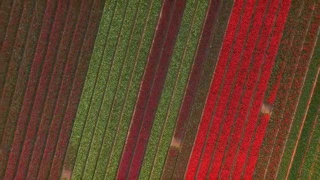 Мама-лучший друг