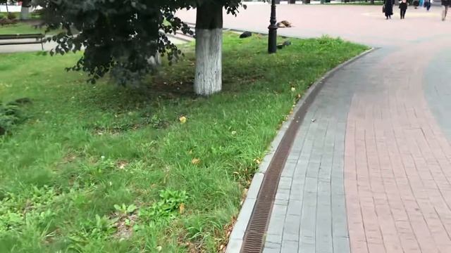 Прогулка по центру.Ул. Профессора Баранова. смотреть онлайн