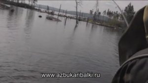 Рыбалка в Карелии. Крупный хариус  Пяозера ч 1,Вig grayling the bait