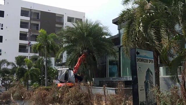 Обрезка деревьев по-тайски, Unique Regency Hotel Pattaya смотреть онлайн