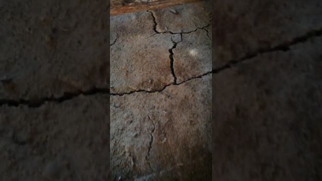 Утепление Эковатой