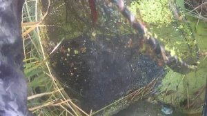 рыбалка на верши