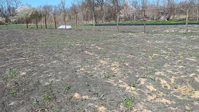 После морозов у нас +30 смотреть онлайн