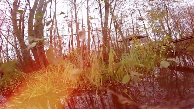 Нарвская Венеция. Прогулка по воде. смотреть онлайн