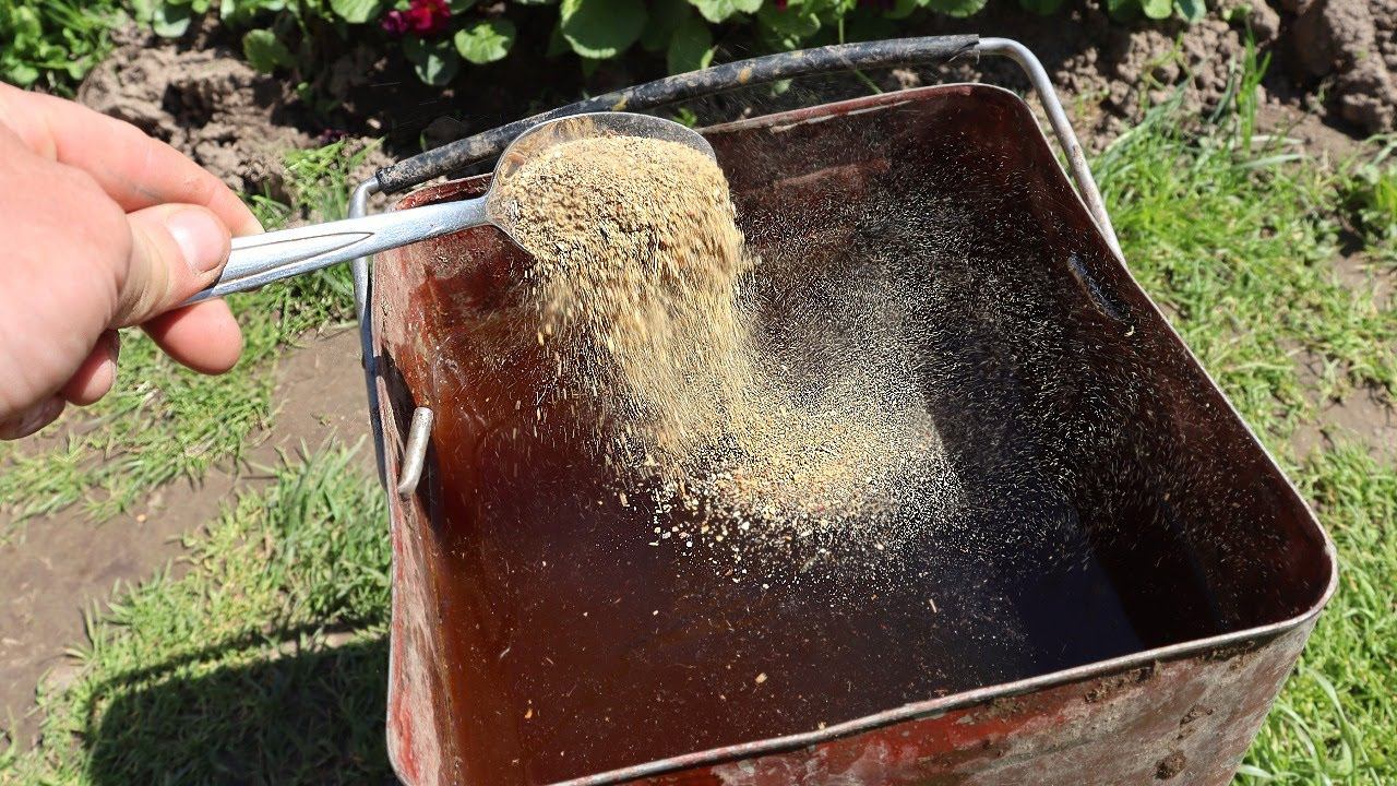 Кальций для растений. Все удобрения содержащие кальций с инструкцией по применению. смотреть онлайн