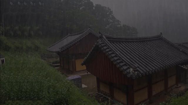 Звуки дождя для сна Лечение бессонницы с помощью с шум дождя & грома на доме в туманном лесу смотреть онлайн