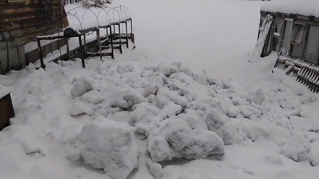 Почему мы держим только курочек и гусей, про ешьте меньше мяса.... смотреть онлайн