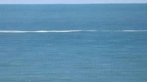 Zoom Test on my Canon SX740 HS