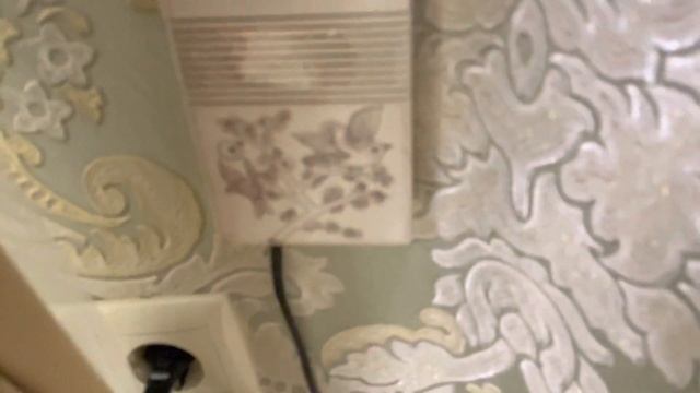 Реакция французских бульдогов на открытие ворот… смотреть онлайн