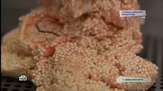 Вот почему алмазная икра самая дорогая 1 кг 2 ляма смотреть онлайн