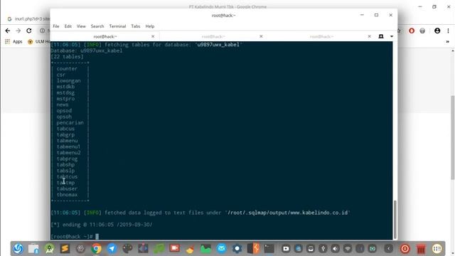 How to Hack #2 : SQL Injection Leaking Customers Data смотреть онлайн