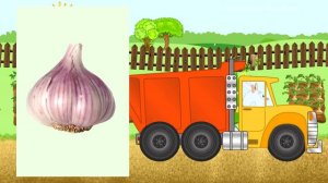 Овощи. Развивающий мультик для малышей