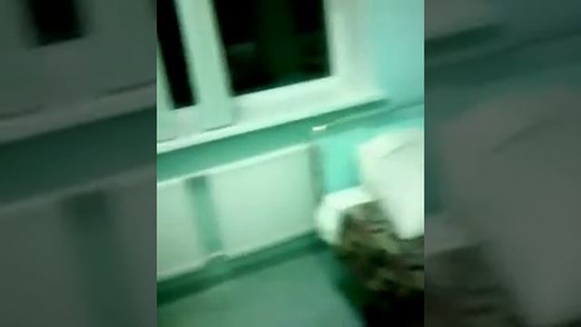 РДКБ педиатрия(фильтр) смотреть онлайн