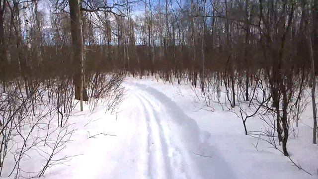 Национальный Парк Райдинг-Маунтин Манитоба Канада Ridding Mountain National Park смотреть онлайн