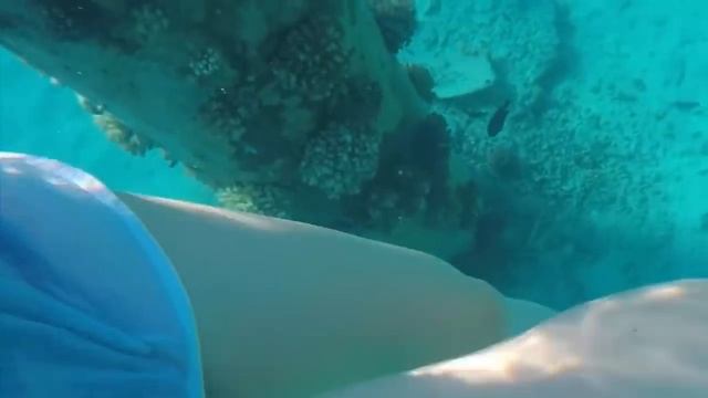 Сезон закончился, пришла зима, можно и отдохнуть | Египет Хургада смотреть онлайн