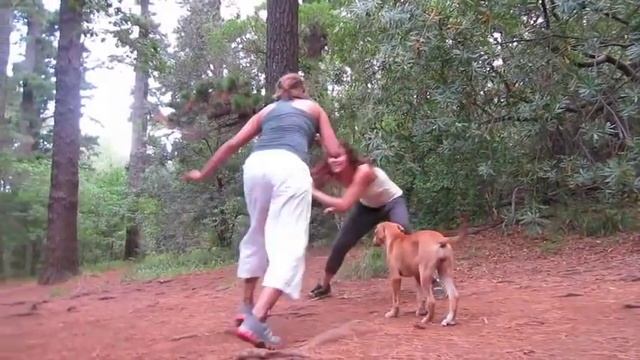 Tai Chi and Capoeira in Newlands Forest смотреть онлайн