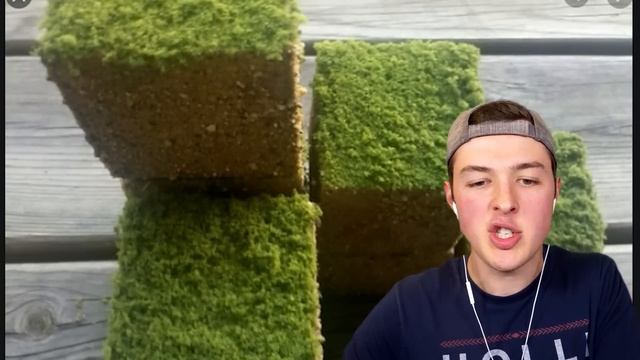 MINECRAFT MOBS IN REAL LIFE 2! (animals, items, bosses)